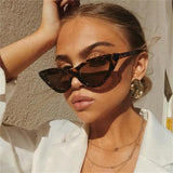 cat eye shade for women
